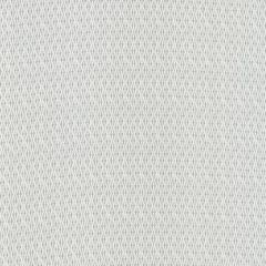 Robert Allen Hand Motif Greystone 229731 Color Library Collection Multipurpose Fabric