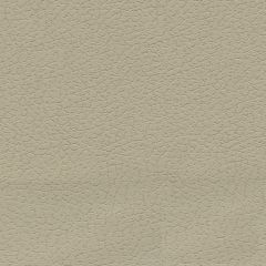 F. Schumacher Brisa Sand 303-3946 Ultraleather Collection