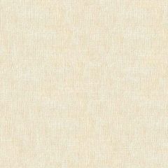 Kravet Sunstone Cream 4191-1 by Candice Olson Drapery Fabric
