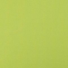 F. Schumacher Langham Chartreuse 69666 Perfect Basics: Stonewashed Union Cloth