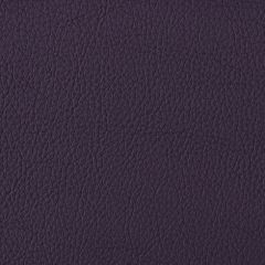 Aura Retreat Chambord SCL-010 Upholstery Fabric