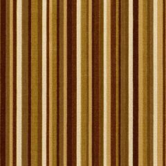 F Schumacher Syncopated Velvet Stripe Chamois / Mink 55323 Indoor Upholstery Fabric