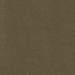 Kravet Ophidian Bark 606 Indoor Upholstery Fabric