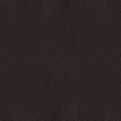 ABBEYSHEA Premier 8020 Chocolate Indoor Upholstery Fabric