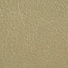 Kravet L-Rushmore Putty Indoor Upholstery Fabric