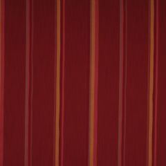 Robert Allen Contract Cool Bayou-Samba 167768 Multi-Purpose Indoor / Outdoor Upholstery Fabric