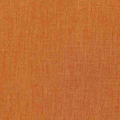 Robert Allen Contract Worsted Weight-Mandarin 214834 Decor Upholstery Fabric