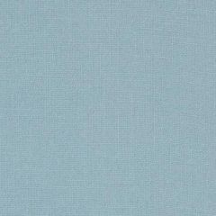 Duralee Aqua 32824-19 Decor Fabric
