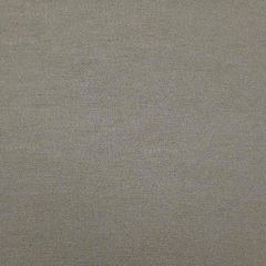 Kravet Design Fume LZ-30202-6 Lizzo Collection Indoor Upholstery Fabric