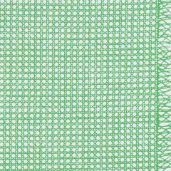 F Schumacher Sugar Cane Green 178191 by Vera Neumann Indoor Upholstery Fabric