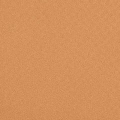 Kravet Contract Invincible Spice 24 Faux Leather Extreme Performance Collection Upholstery Fabric