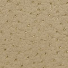 Robert Allen Harvest Moon-Parchment 195422 Decor Upholstery Fabric