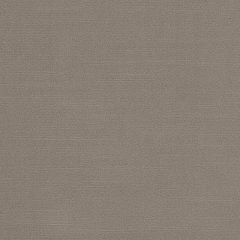 Duralee Wheat DV16352-152 Verona Velvet Crypton Home Collection Indoor Upholstery Fabric