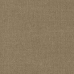 Duralee Chestnut 32770-177 Decor Fabric