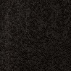 Kravet Design Black Gillian 8 Indoor Upholstery Fabric