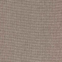 Robert Allen Lone Oak Mink 228949 Naturals Collection Indoor Upholstery Fabric