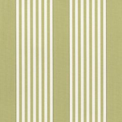 Perennials I Love Stripes Sprout 840-249 Camp Wannagetaway Collection Upholstery Fabric