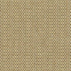 Kravet Design 28767-116 Guaranteed in Stock Indoor Upholstery Fabric