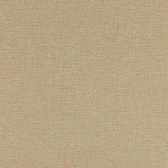 Threads Bara Linen ED85324-110 Luxury Weaves Collection Multipurpose Fabric