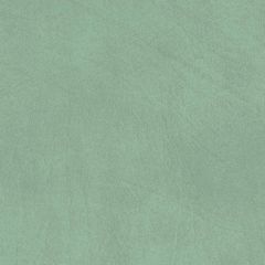 Allegro 7063 Sage Green Marine Upholstery Fabric