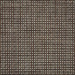 Sunbrella Framework Bronze 50200-0002 Sling Upholstery Fabric