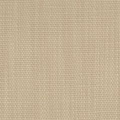 Perennials Rough 'n Rowdy Beach 955-159 Beyond the Bend Collection Upholstery Fabric