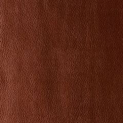 Kravet Design Kerinci Cinnamon 24 Performance Sta-Kleen Collection Indoor Upholstery Fabric