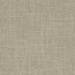 Robert Allen Linen Slub Brindle 222391 Indoor Upholstery Fabric