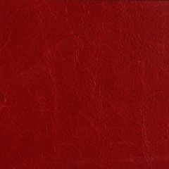 Threads Crawford Berry Ed50015-474  Indoor Upholstery Fabric