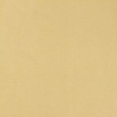 F. Schumacher Tiepolo Shantung Weave Champagne 63843 Mirage Collection