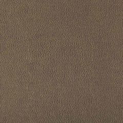 Kravet Contract Lenox Elephant 106 Indoor Upholstery Fabric