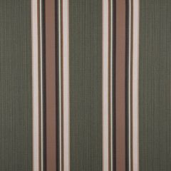 Sunbrella Emblem Fern 4801-0000 46-Inch Stripes Mayfield Collection Awning / Shade Fabric