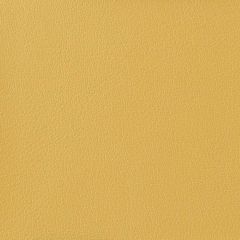 Kravet Otto Yellow 40 Indoor Upholstery Fabric