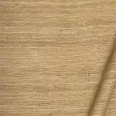 Robert Allen Aussie Hazelnut 193627 Drapeable Silk Collection Multipurpose Fabric