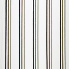 Beacon Hill Adriana Stripe-Travertine 242773 Decor Drapery Fabric