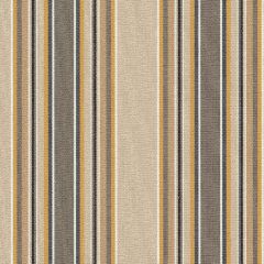 Tempotest Home Tango Burnish 5416/102 Fifty Four Vol I Upholstery Fabric