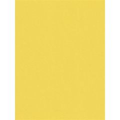Kravet Smart Yellow 32565-40 Guaranteed in Stock Indoor Upholstery Fabric