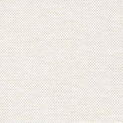 Stout Helena Desert 1 Shine on Performance Collection Indoor/Outdoor Upholstery Fabric