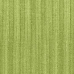 F Schumacher Antique Strie Velvet Lime 69776 Perfect Basics: Antique Strie Velvet Collection Indoor Upholstery Fabric