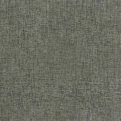 ABBEYSHEA Meld Platinum 905 Indoor Upholstery Fabric