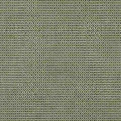Lee Jofa Cosgrove Moss BFC-3672-3 Blithfield Collection Indoor Upholstery Fabric