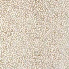 F Schumacher Madeleine Velvet Natural 68826 Cut and Patterned Velvets Collection Indoor Upholstery Fabric