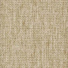 Stout Monza Mushroom 1 Performance Solids by Crypton Home Collection Indoor Upholstery Fabric