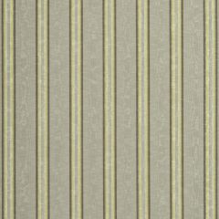 Robert Allen Essex Stripe Silver Birch 222654 Color Library Collection Multipurpose Fabric