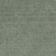 Endurepel Chrysalis 31 Willow Indoor Upholstery Fabric