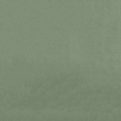 Endurepel Benjamin 202 Sage Indoor Upholstery Fabric