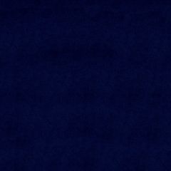 Endurepel Benjamin 3009 Midnight Indoor Upholstery Fabric