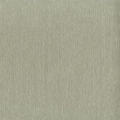 Endurepel Mortal 91 Platinum Indoor Upholstery Fabric
