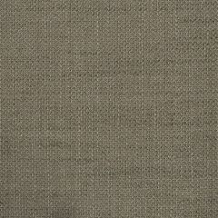 Endurepel Blend 608 Mushroom Indoor Upholstery Fabric