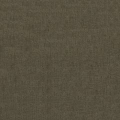 Endurepel Farrow 81 Taupe Indoor Upholstery Fabric
